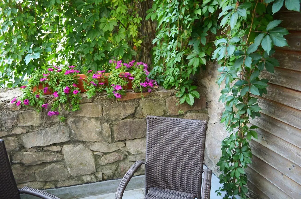 Hotel Petr Karlovy Vary Czech Republic
